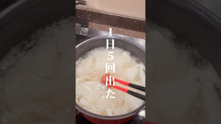 1日5回出て1キロ痩せた梅流し🍲作ってみたらやばかったww作り方は概要みてねん✌️