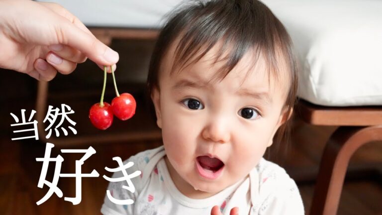 【離乳食】ずっとキレ気味の１歳児（※音量注意）初めてのさくらんぼが美味しすぎて手が止まらない…！