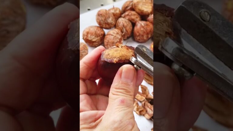 簡単な栗のむき方🌰／栗の皮むき道具【栗くり坊主】の使い方／ばあちゃんの料理教室 #shorts