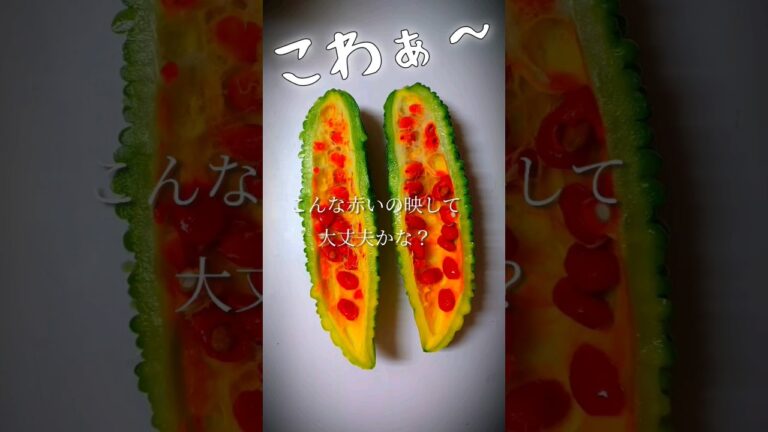 赤すぎるけど大丈夫？ #shorts #seed