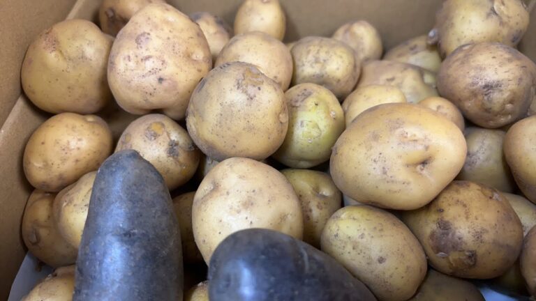 【料理】ジャガイモでおでん作ります〜【感謝】