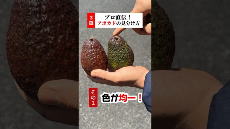 見逃さないで！アボカド選び方３選！ #八百屋 #野菜 #アボカド