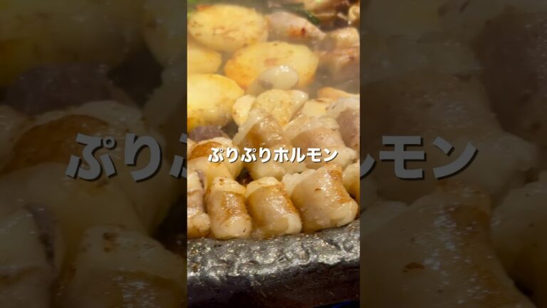 【広尾】箸とまらん。韓国ホルモン鉄板焼き【東京グルメ】 #韓国料理 #ホルモン #肉