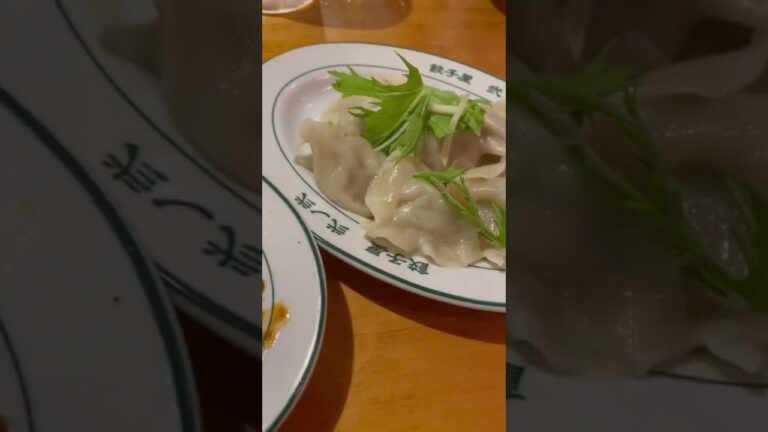 よだれ鶏・餃子