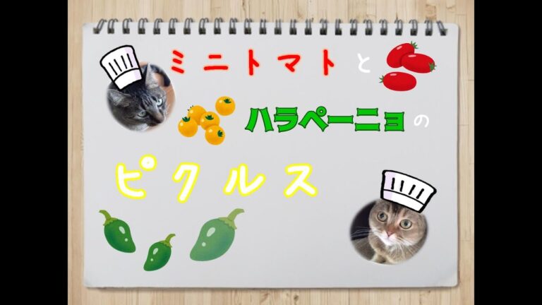 【旨辛】ミニトマトとハラペーニョのピクルス【簡単】