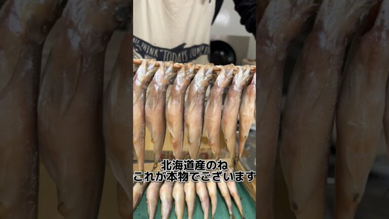 釧路の 本ししゃも の 生干し！ 炙って食べてみます#せり人ムタロー #shorts