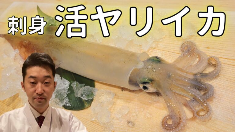 【イカ刺身】活イカを美味しく捌く寿司職人のやり方・イカの姿造り