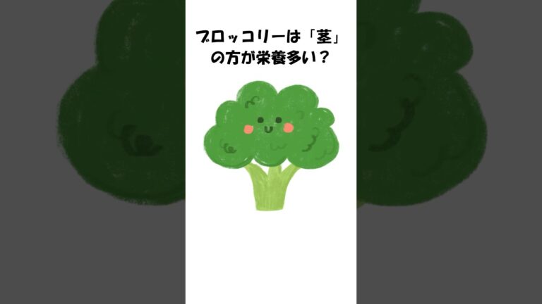 ブロッコリーは「茎」の方が栄養多い？#常識破壊 #ブロッコリー #茎の栄養 #ビタミンC #野菜の真実 #料理の知識 #トリビア #豆知識 #雑学 #料理の知恵 #料理トリビア