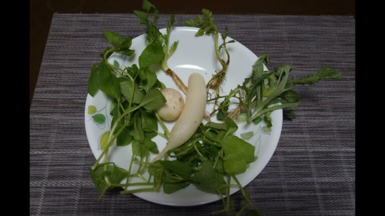 七草ぞうすい作る