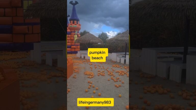 Pumpkin ⛱️ beach#lifeingermany983 #youtubeshorts