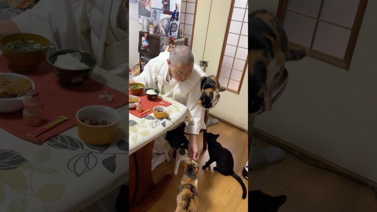 住職の朝ごはん。肉じゃが 大根のたまり漬け ごはんと味噌汁 ヤクルト