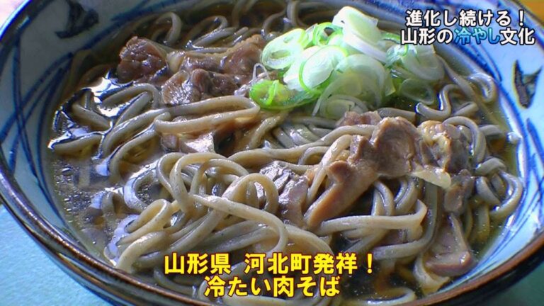 「冷やす文化」の新星グルメ「冷たい肉そば」