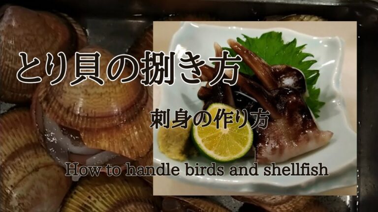 生とり貝！料理人の捌き方から刺身の作り方までお見せします！