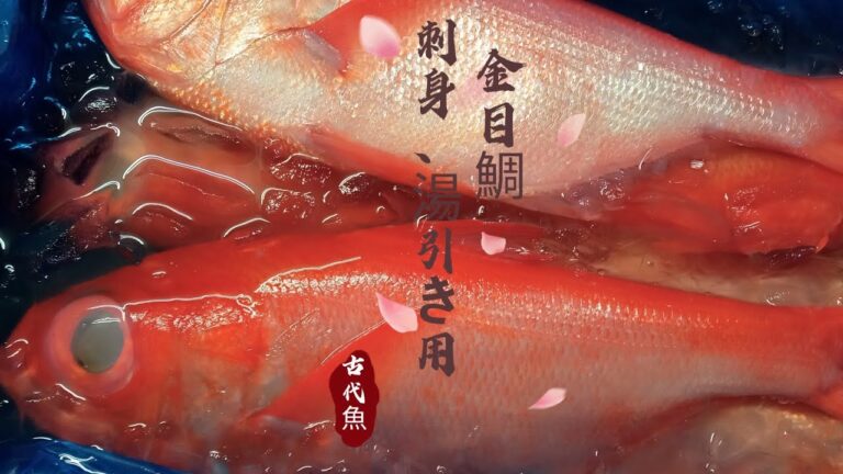 金目鯛刺身用と湯引き用