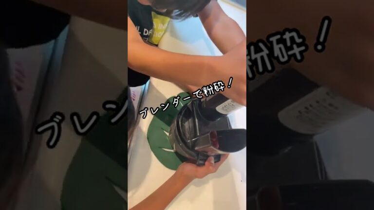 【韓国オモニ材料直伝】ジャンボにんにくで自家製ヤンニョム作ったら最高だった件ー臭わないキムチ・調味料としても大活躍✨