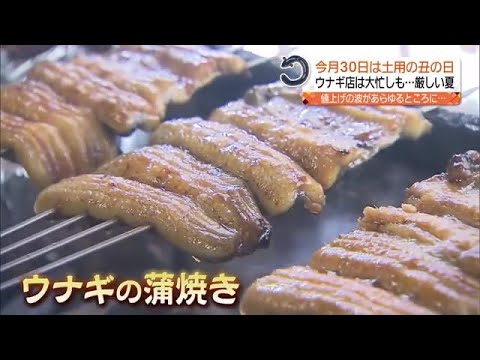 ２０２３年の土用丑の日　ウナギの値段は？変わり種も紹介【福島県】 (2023年7月25日)