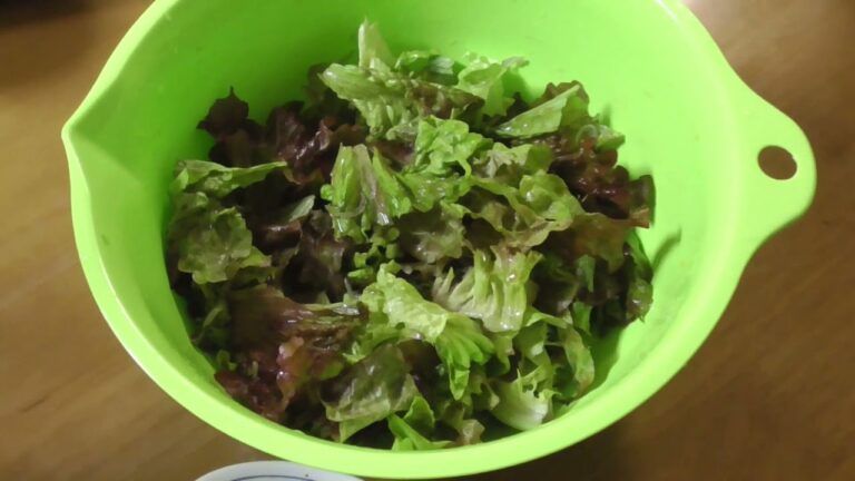 野菜でツマミを作る！！２（サニーレタス）