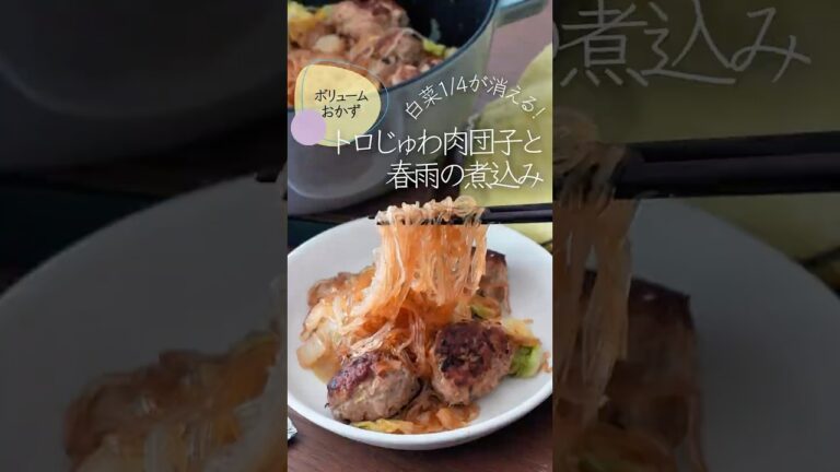 【白菜大量消費】トロじゅわ肉団子と春雨の煮込み #簡単レシピ #白菜レシピ #大量消費 #staubごはん