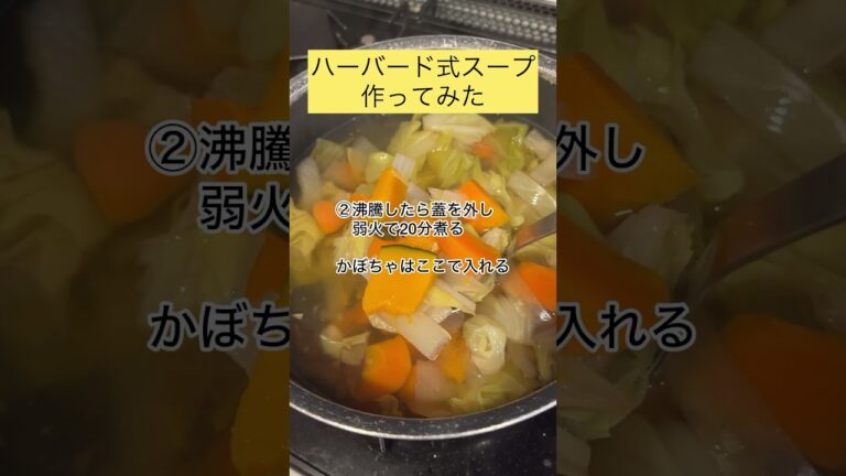 【ハーバード大学式スープとは？】調味料無しの命の野菜スープです。 10