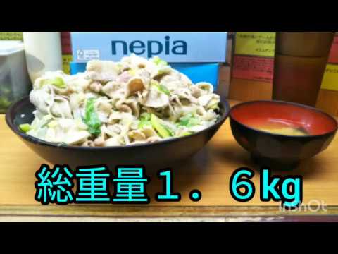【大食い】吉祥寺どんぶり「豚丼塩生姜破壊王」総重量1.6kg