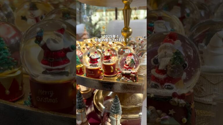 【最新版！】2025年クリスマスイベント3選🎄✨