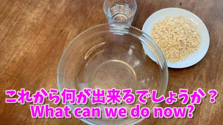 超簡単美味しい！ダイエットにも！？オートミールで炒飯を！【レンチンシリーズ ♯1】