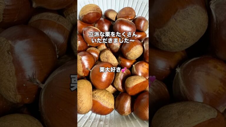 栗好き？ #料理 #栗ペースト#栗ご飯