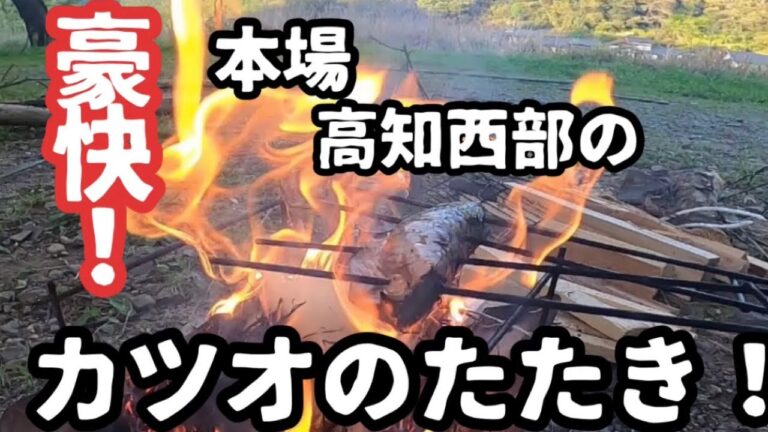 高知県西部の本場！絶品カツオのたたき！『はた☆キャンプ』