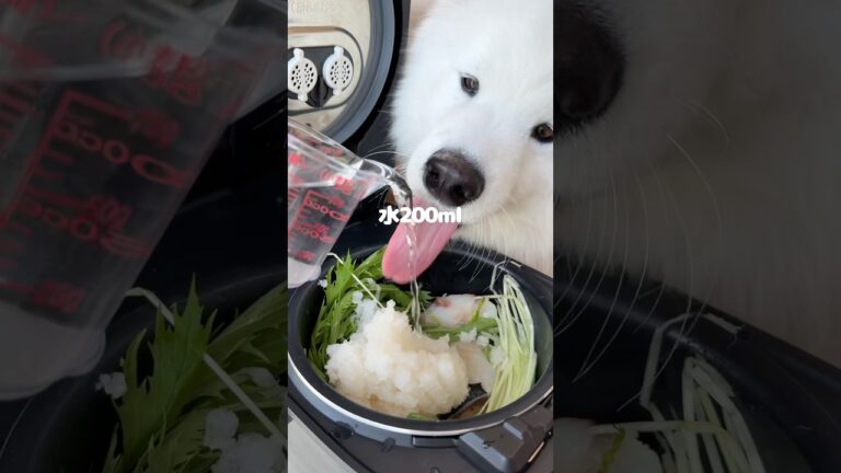 ぶりたらみぞれ鍋つくったら爆食してくれました！