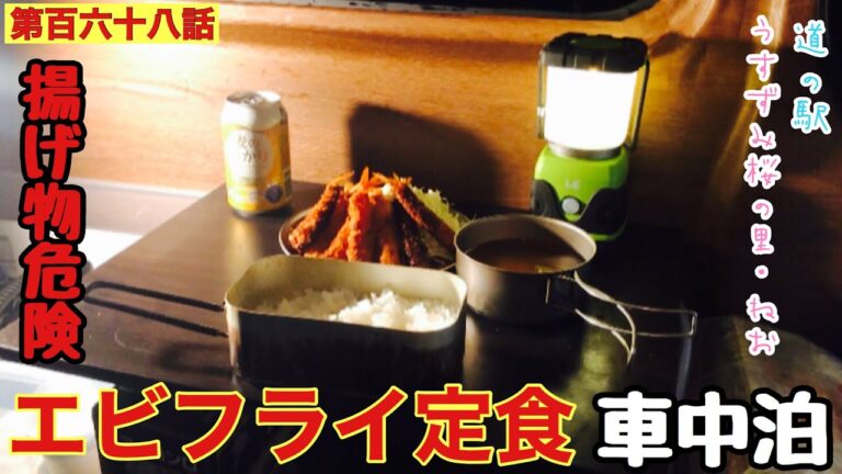 【第百六十八話】油が飛んで大惨事！！車内でエビフライ定食作って豪快に車中泊してみた！！（やまキャン⬜︎）