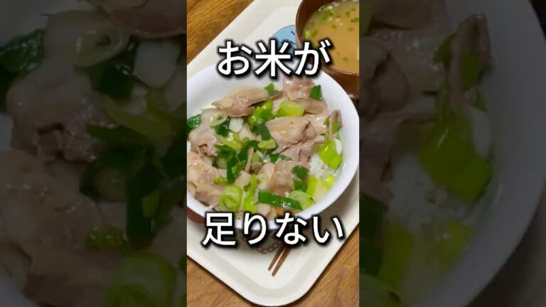 【優勝】簡単に作ったネギ塩豚丼が美味すぎた #料理 #簡単レシピ  #ズボラ飯