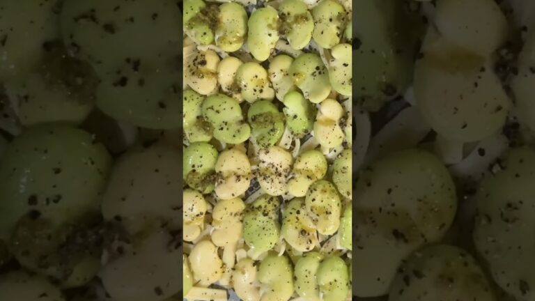 そら豆シートを作ります#そら豆#そら豆レシピ #簡単レシピ #砂糖断ち#Broadbeans