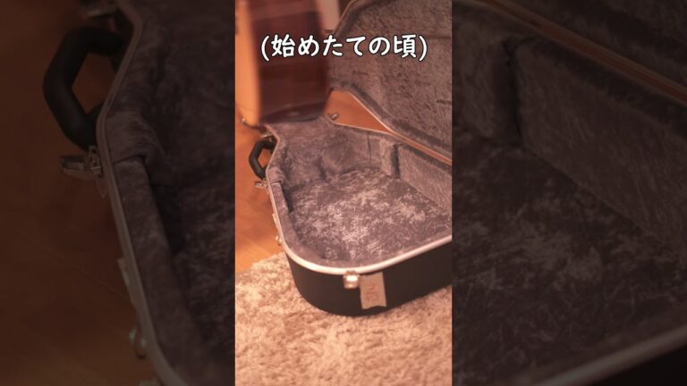 【アコギ】実は上達してきた証3選 Short#ソロギター#アコギ#アコースティックギター#検証#ギター初心者