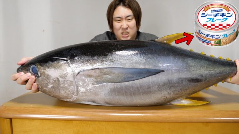 【大成功】マグロ一匹さばいて、手作りシーチキン作ってみた！！