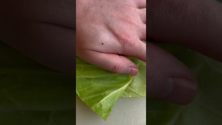 キャベツの千切り【お好み焼き】