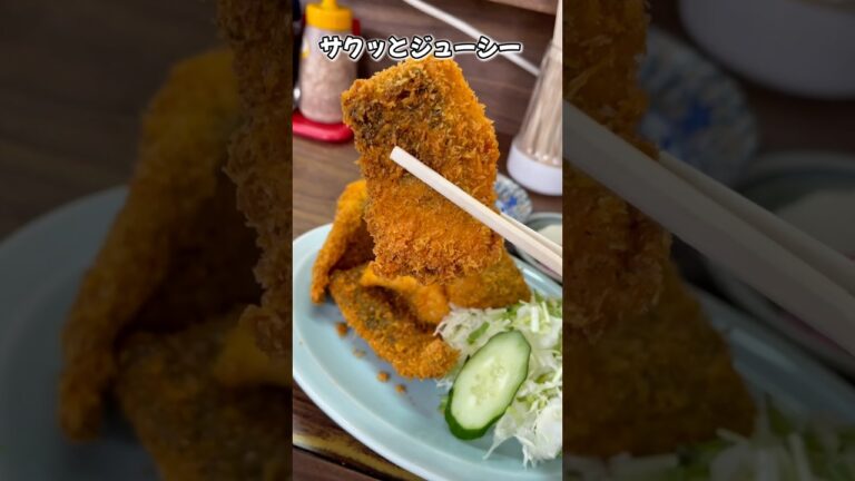 千葉で食べたアジフライが最高やった。詳細は説明欄にて。#千葉グルメ #浜金谷 #千葉 #グルメ #ドライブ #アジフライ #定食 #ご飯 #食いしん坊 #shorts