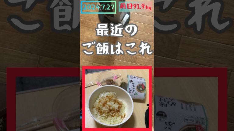 【#ちゃいエット】キャベツめかぶ納豆#ダイエット#27日目#夜食 #痩せる #料理#あたりめ#ぼっち#ちゃい#暑い#猛暑#質問コーナー#寝坊#めかぶ#納豆