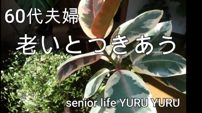 【シニアライフ】アンチエイジング、充填豆腐でサラダと麻婆豆腐、