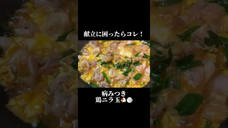 献立に困ったらコレ！病み付き鶏ニラ玉　#簡単レシピ #卵レシピ　#親子丼