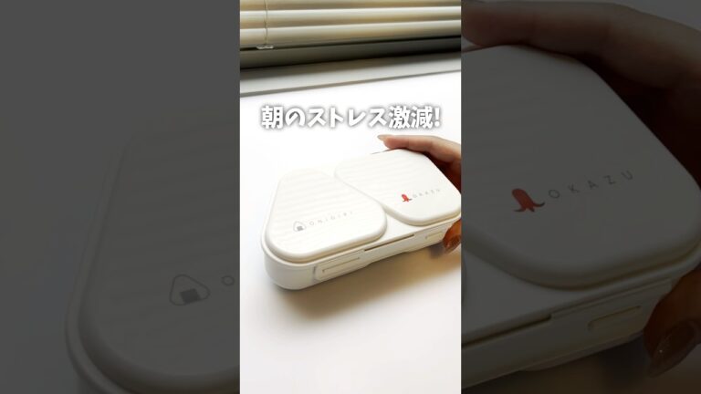 新生活のお弁当箱、これ一択！