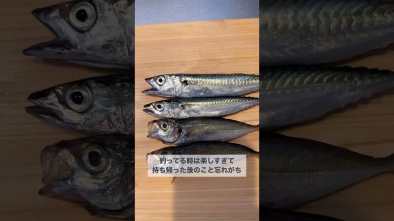 小魚を美味しく食べる方法🥣#pr #shorts