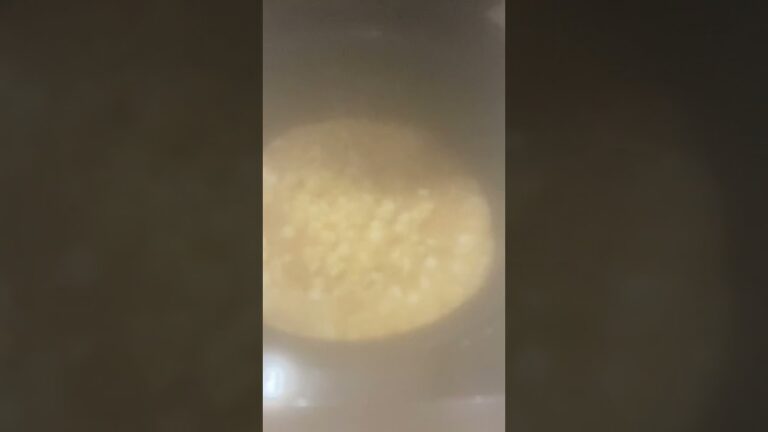 炊き立て　なめ茸　炊き込みご飯
