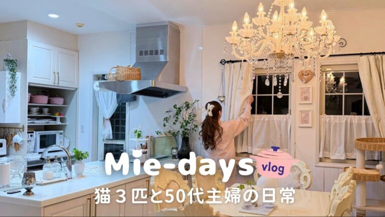 267.3匹の猫と50代主婦の1日Vlog｜手作りインテリアとおうち時間🏠｜夫の🌷｜1日の簡単食事レシピ