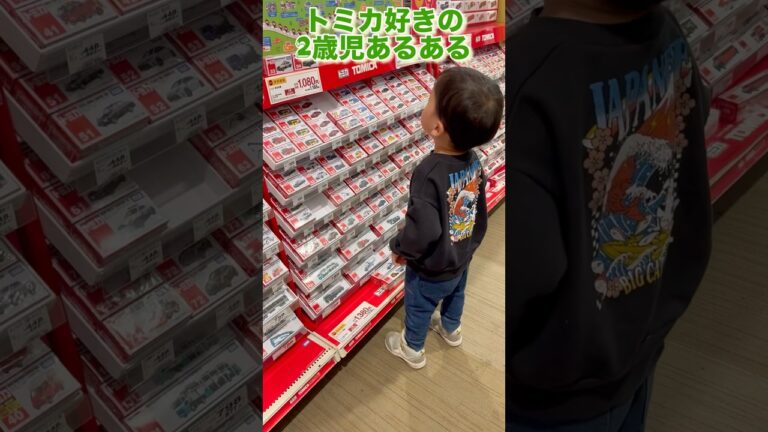 【トミカ好き2歳児あるある】#tomica #はたらくくるま #toycar #shorts