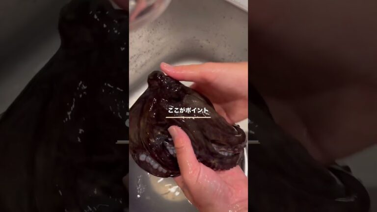 【漁師直伝】こんな柔らかいタコ食べたことない！ふっくらジューシーに仕上がる茹で方って？ #shorts