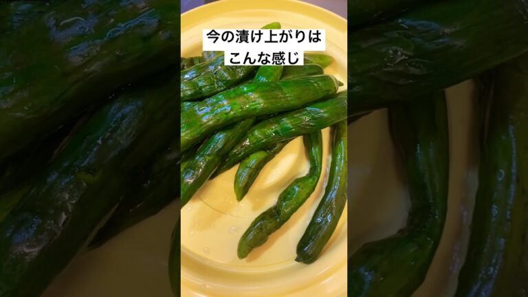 きゅうりの古漬を作ります　#家庭菜園 #農ある暮らし #料理 #農的暮らし #きゅうりの古漬#きゅうりレシピ #漬物 きゅうり栽培#黄瓜