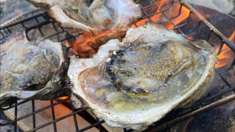 焚き火で牡蠣アヒージョを焼いてﾘﾛ氏ビールをキメるだけの動画