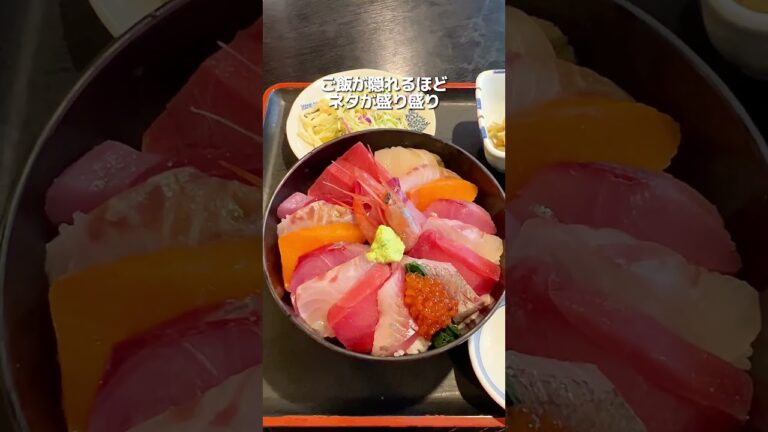 【ご飯が行方不明⁉ネタ盛り盛りの海鮮丼】新潟グルメ【公式】#新潟　#新潟グルメ　#新潟観光   #niigata　#shorts  #yummy  #pr  #新潟グルメ【公式】