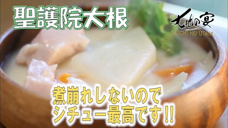 美味しく健康に「聖護院大根」✨️ビタミンCが豊富に含まれています。その量は中心部より表面の皮、葉っぱの順で多くなり特に葉っぱには、ビタミンAもタップリなのです✨️大地の宴