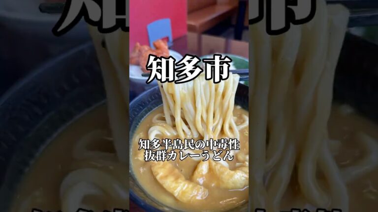 知多半島民の中毒性抜群カレーうどん　半二郎　#愛知グルメ #なカレーうどん　#japanesefood #shorts